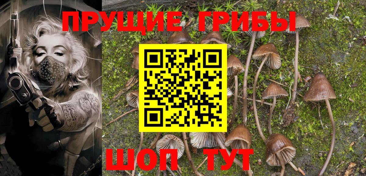 Псилоцибиновые грибы Cubensis Кемерово