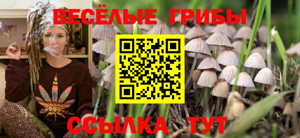 Кемерово  Псилоцибиновые грибы мухоморы  Вход с VPN 